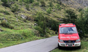 Cade in un dirupo, cane salvato dai vigili del fuoco