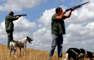 Gli animalisti scrivono a Cirio: «Si chiuda anche la caccia, fonte di assembramenti e spostamenti anche tra regioni»