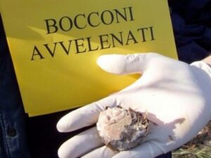 Un’unità cinofila contro le “polpette avvelenate”