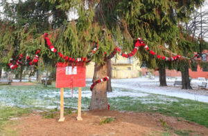 Niente albero di Natale nel parco: «Colpa dei vandali»