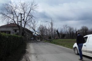 Forte vento in tutto il Ciriacese e le Valli di Lanzo, cade un albero a Ceretta