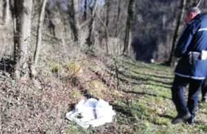 Abbandona il corpo del cane morto al Ponte del Diavolo, multata dalla Polizia locale
