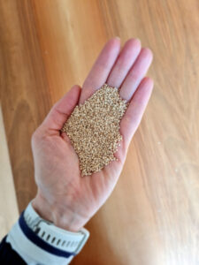 Quinoa il “Superfood”