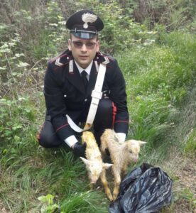 Vauda, trovati due capretti chiusi in un sacco di plastica gettati in fondo a una scarpata