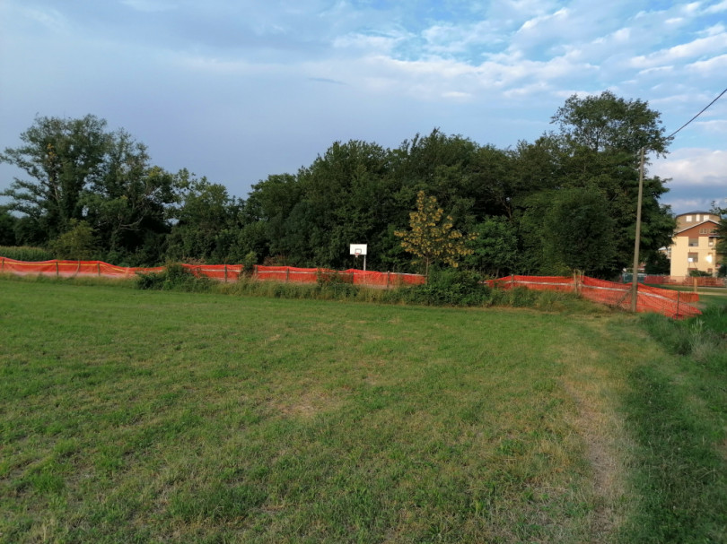 «Lo vogliamo capire che i prati sono la nostra foresta amazzonica?»