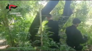 Contrasto alla droga: arrestato anche un 18enne di Fiano per detenzione e spaccio di stupefacenti
