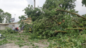 Maltempo, alberi caduti, allagamenti e auto danneggiate nel Ciriacese e nelle Valli di Lanzo