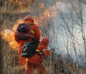 Incendi boschivi, revocato stato di massima pericolosità