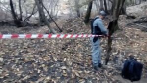 Denunciato a 80 anni per aver appiccato un fuoco nei boschi di Martassina