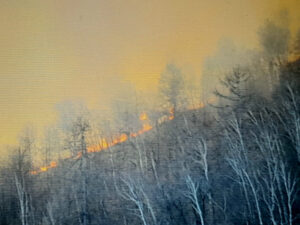 Incendio sul Monte Basso, evacuate tre famiglie