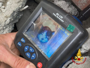 Gatto rimane incastrato in una tubazione, salvato dai vigili del fuoco