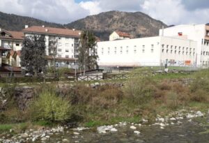 Aggredita da due cani per difendere il suo barboncino, 60enne finisce in ospedale