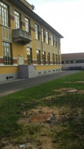 La scuola rimasta senza i suoi platani: la rabbia dei cittadini e le motivazioni dell’Amministrazione