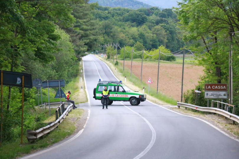 Fuggono sette mucche da una stalla, paura in paese, poi vigili del fuoco e veterinario Asl le recuperano senza che nessuno si faccia male