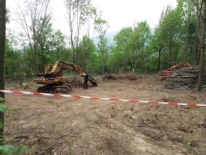 Opere e disboscamenti abusivi: sequestrato dai carabinieri forestali il “cantiere nel bosco”