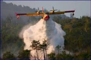 Decretato lo stato di massima pericolosità per incendi boschivi
