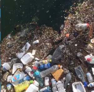 L’oasi verde profanata dai soliti imbecilli della domenica – VIDEO –