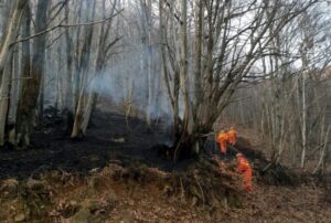 Diecimila metri quadrati di sottobosco in fiamme, attimi di paura a Corio