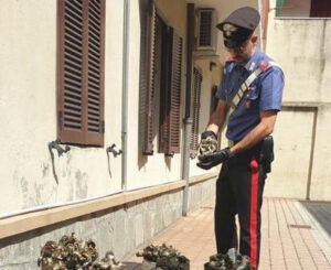 Rubano in una ditta chiusa per ferie, tre persone in manette