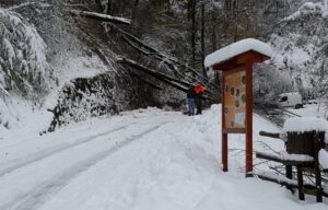 Con la neve arrivano i disagi: elettricità a singhiozzo e strade bloccate