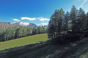 “Musica d’Estate” concerti ad alta quota a Bardonecchia dal 24 luglio al 6 agosto