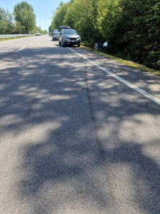 Finisce fuori strada per l’insetto entrato nell’abitacolo