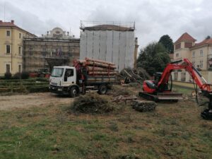 Il tempo del taglio degli alberi, tra chi contesta e chi lo fa un unico denominatore: l’emergenza climatica