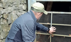 Grotte di Pugnetto sbarrate: «Così muoiono i pipistrelli»