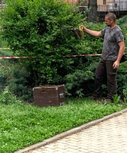 Borgaro: rimosso un nido di api al “Parco Arcobaleno”