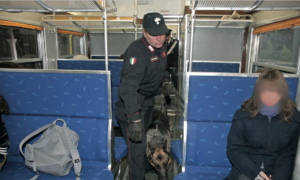 A 16 anni con 100 dosi di marijuana, contanti e tre smartphone