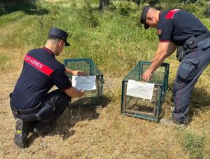 Alleanza tra forestali, polizia locale e Lac contro la caccia in periodo vietato e con mezzi non consentiti