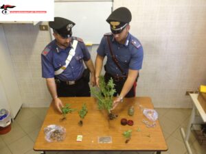 Giovane rocker finì nei guai (col padre) per la detenzione di marjuana, il giudice valuta la misura alternativa della messa in prova affidandogli un progetto musicale