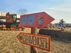Fino al 2 novembre a Favria c’è il Villaggio della Zucca -photogallery-