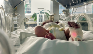 Ciriè, si aggrava la neonata partorita nel water: la mamma sottoposta a fermo