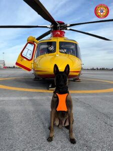 Soccorso Alpino Piemonte, potenziato il servizio invernale con le unità cinofile antivalanga