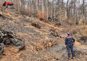 Carabinieri forestali individuano il responsabile del grosso incendio divampato a Coassolo alla fine di.novembre