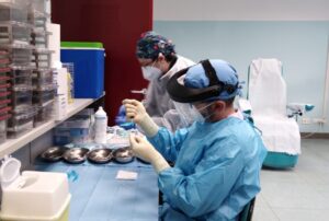 Influenza aviaria nel Canavese: confermato un caso tra volatili ornamentali