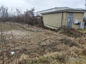 Giallo a Leini: attesa per l’autopsia sui resti trovati nel campo di strada Fornacino