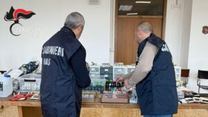 Maltrattamenti, farmaci scaduti e abusivismo: il bilancio shock dei controlli Nas a Torino e provincia