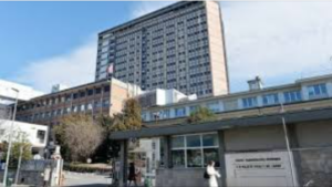 Infortunio sul lavoro: operaia inciampa e resta incastrata in un macchinario