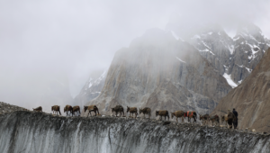 Professioni turistiche: la Città Metropolitana di Torino punta sul digitale e sui giovani