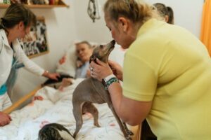 All’ospedale di Ciriè arriva la pet therapy per i malati oncologici