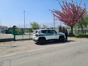 Aggredisce l’operatore dell’ecostazione: identificato e denunciato