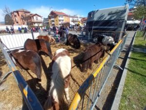 A Ciriè il fine settimana è con la fiera dell’Annunziata