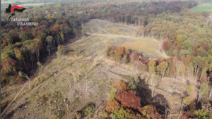 Disboscamento selvaggio alle porte di Torino: maxi frode da 350mila euro in un’area protetta