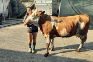 Chiara tra studio e azienda: la 19enne di Balangero tra i 97 diplomati eccellenti dalla Camera di Commercio