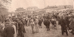 La fiera tra guerra e crisi energetica, un copione già visto nel 1973-74