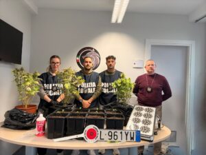 Nole, la multa è un errore ma svela un crimine: targa clonata, auto senza patente e serra di marijuana