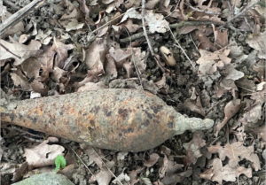 Asparagi e bombe a frammentazione