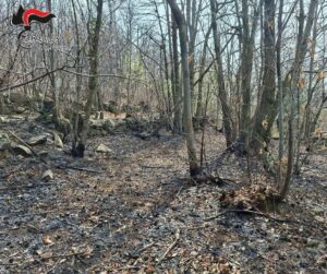 Incendio boschivo a Cuorgnè: i Carabinieri Forestali denunciano un 75enne